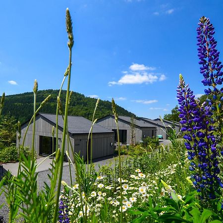 Sauerland Lodge - Haus Juliana Winterberg Luaran gambar