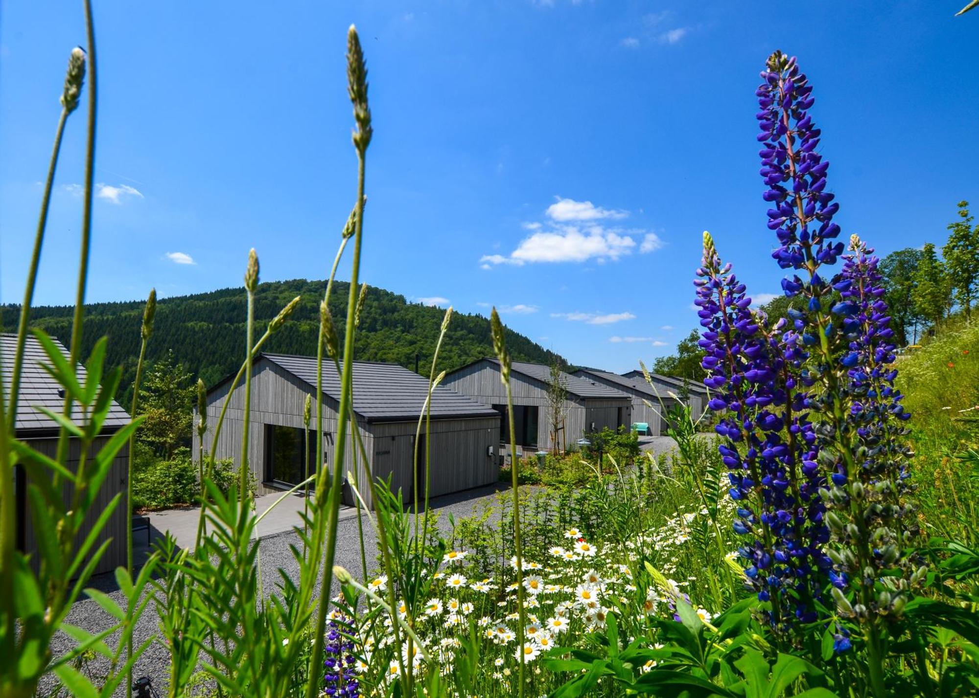 Sauerland Lodge - Haus Juliana Winterberg Luaran gambar
